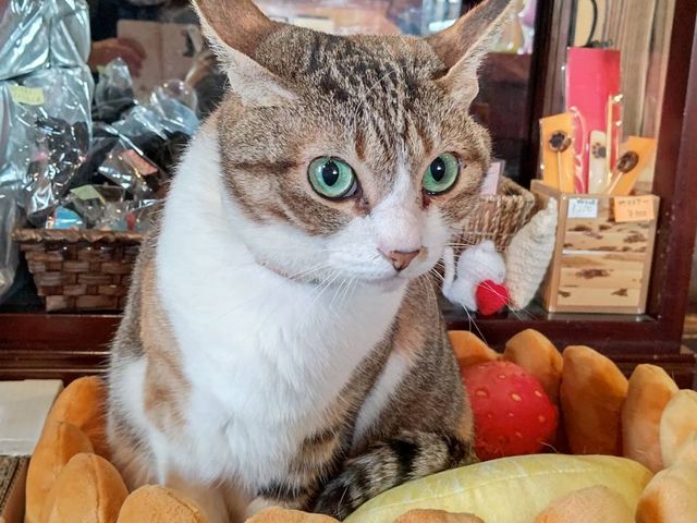 �ӂ������_���났�Ö��Ɓ@�܂ߔL