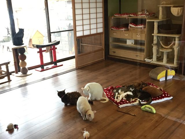 �ƂĂ��L���������ł�_���났�Ö��Ɓ@�܂ߔL