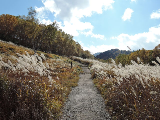 ��������񂳂�̓c�m�������̓��e�ʐ^12