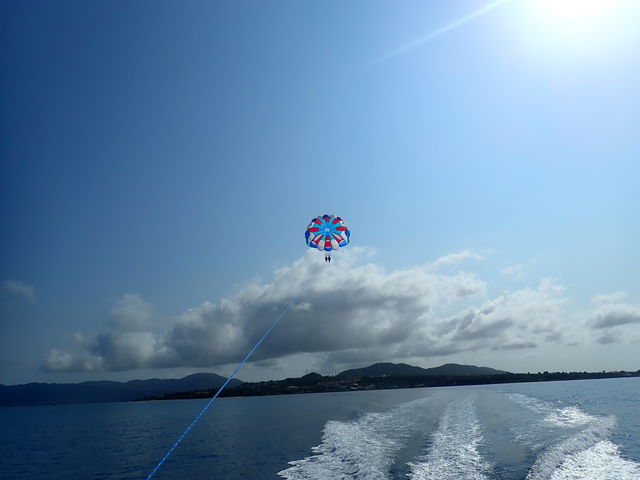 �p���Z�[�����O_�Ί_���u���[�V�[�T�[