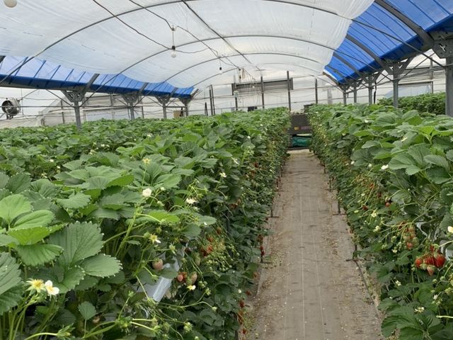 �ݐ؂���_�@���΂Ԃǂ����