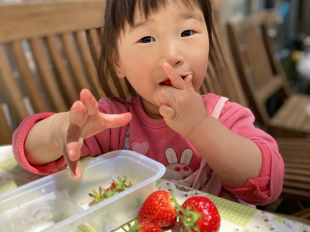 ��ޖL�x�Ȃ������Ɏq�����������тł����i�������e�̎��������j�I�ƂĂ������ł�����_���R��������