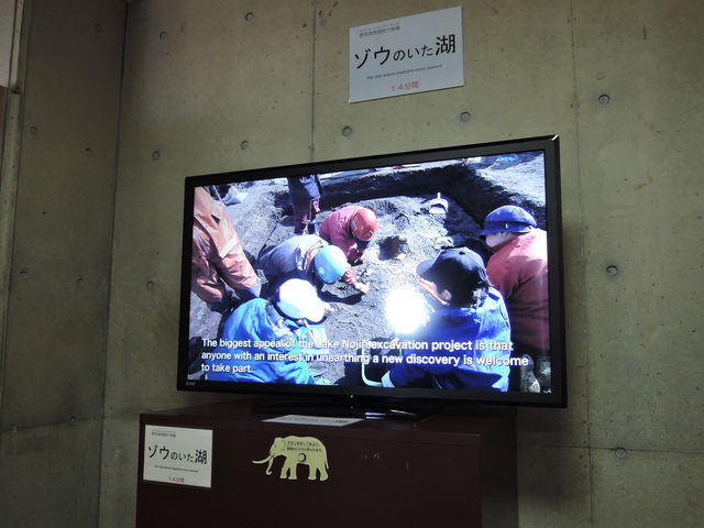 iE}]E̔@rfIf_K΃iE}]E