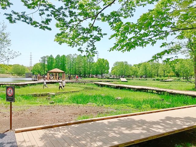 ���C���I������f�b�L���[�h_�ɐl����