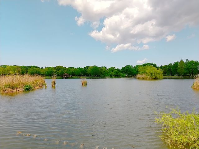 �t�̎ɐl����_�ɐl����