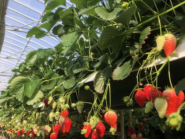 ���̎����ɂ��̗ʁI_�ό������_�����C�t�@�[��