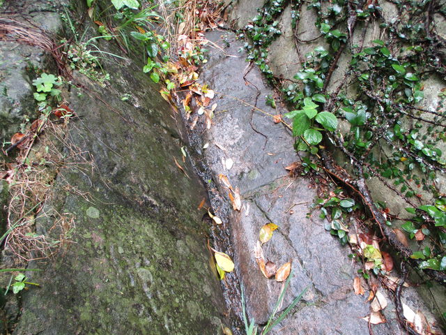 �̂�䂫����̎O�p�a�Ղ̓��e�ʐ^2