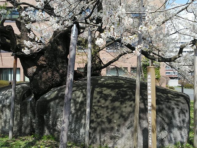 �V�R�L�O��_�Ί���