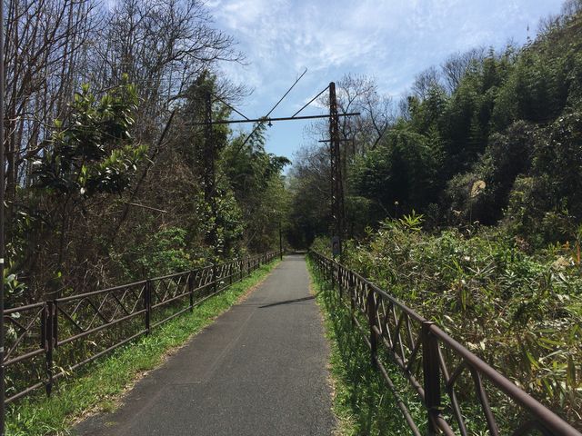 �ՊC�w�`�h�H�R�w�B�R�̒����Ċ����ł��B_���̓�