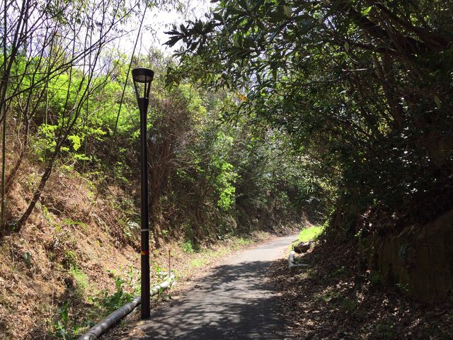 �ՊC�w�`�h�H�R�w�B�ؒʂ��B_���̓�