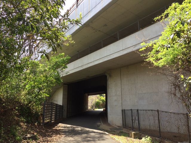 �ՊC�w�`�h�H�R�w�B���ˑ勴�N�O���B���Ԓn�_�̘h�H�R�w�͂������΂ł��B_���̓�