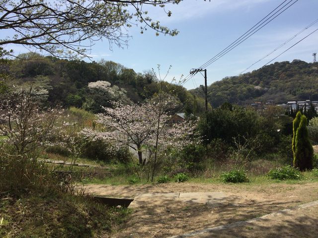 �����È�w�`���È�w�B_���̓�