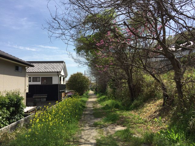 �����È�w�`���È�w�B_���̓�