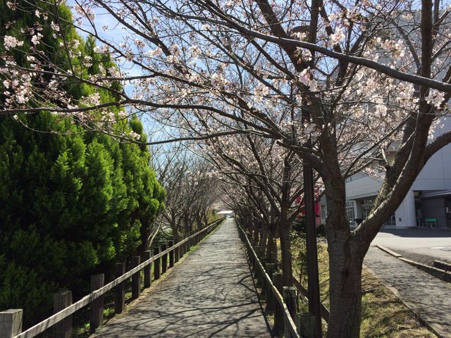 �q�~�V�e�B�a�@������_���̓�