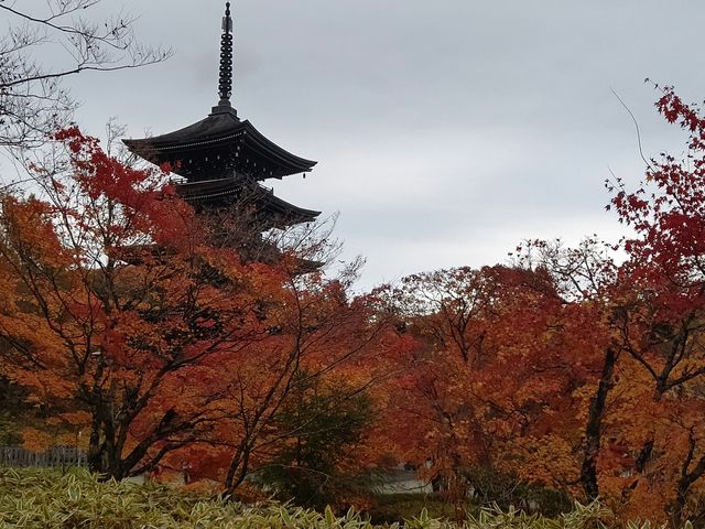 ��`�܏d���ƍg�t_��`�@�� ������