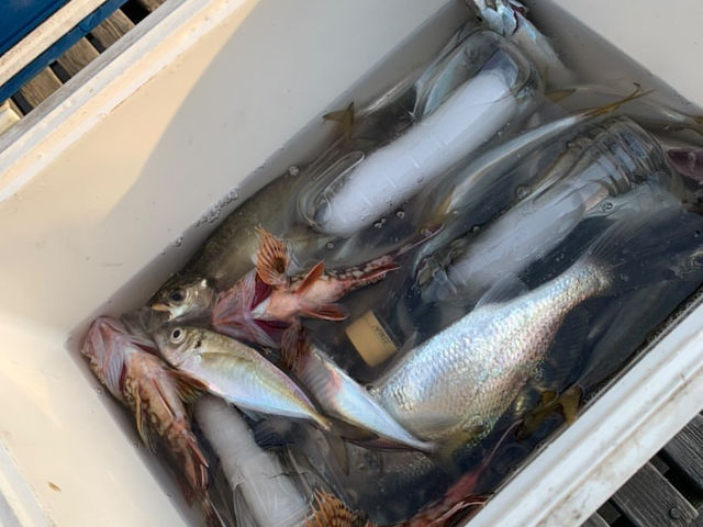 ���ۂ͂����ƘA��Ă��܂���_�H�c�ޑD�`����