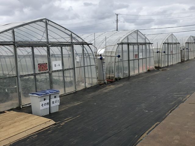 �������n�E�X_���c�t�@�[�������h