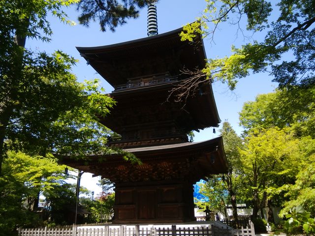 �O�d�̓����ƂĂ����h�ł��B_������