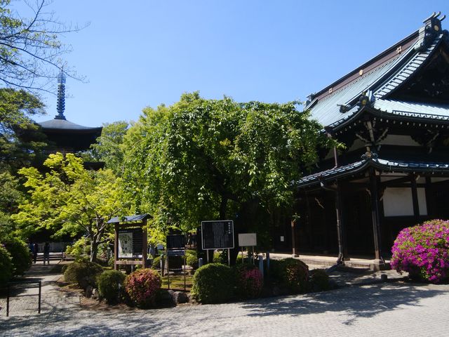 �{���ɔ����������ł����B_������