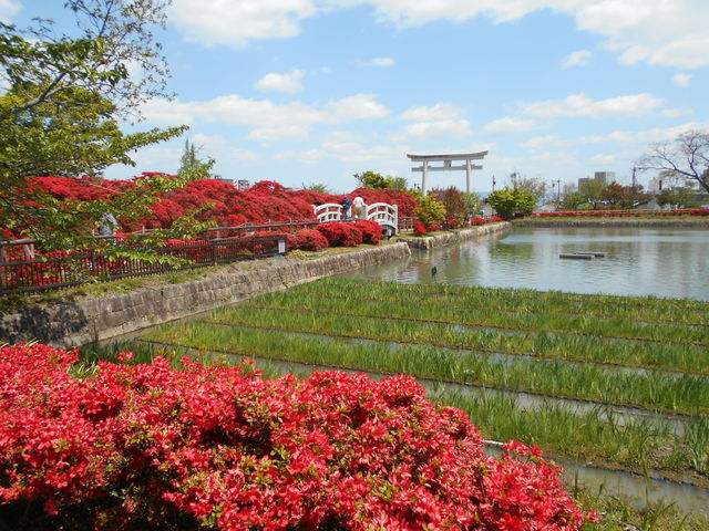 �Q�O�Q�P�N�S���@�����V�__�����V���{�i�������r�j�̃L���V�}�c�c�W