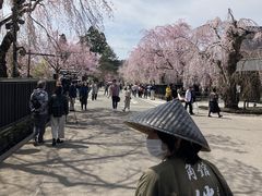 shiron̕Oؓ̍؂ւ̓eʐ^1