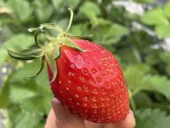 ݁[邳䕉߃nEXւ̓eʐ^1