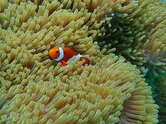 䂩̐Ί_u[V[T[ւ̓eʐ^1