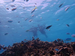 䂩̐Ί_u[V[T[ւ̓eʐ^2