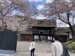 Saa̐ꉷ@Ԃ̌򓒏h@Iւ̓eʐ^1