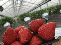 aaajoumonfarmi傤ӂ[ށjւ̓eʐ^1