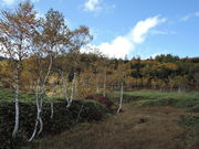 ��������񂳂�̓c�m�������̓��e�ʐ^10