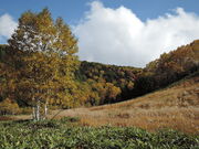 ��������񂳂�̓c�m�������̓��e�ʐ^11