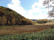 ��������񂳂�̓c�m�������̓��e�ʐ^4