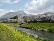 �j�j�M����̑啪��̒��߂̓��e�ʐ^3