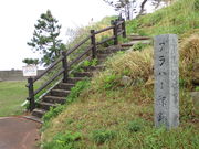 �̂�䂫����̃g�[�}�X�E�O���o�[�ʓ@�Ղ̓��e�ʐ^1