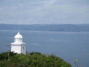 �̂�䂫����̈ɉ�����������̓��e�ʐ^1