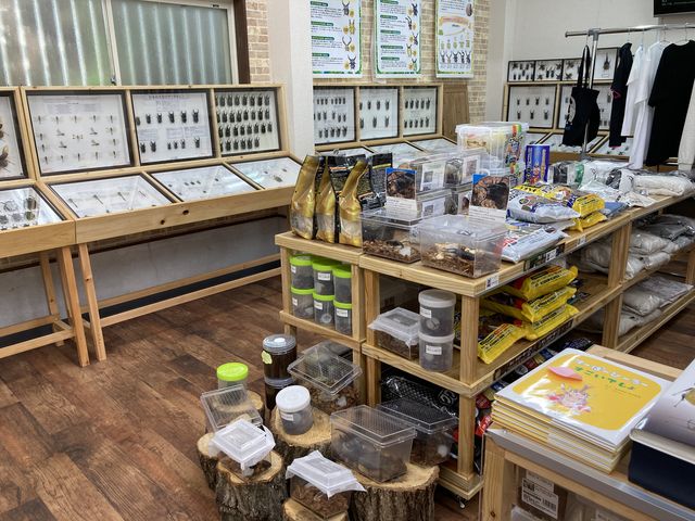 �W�{�͂����Ƃ���܂�_���݂̂�Ȃ̍�����