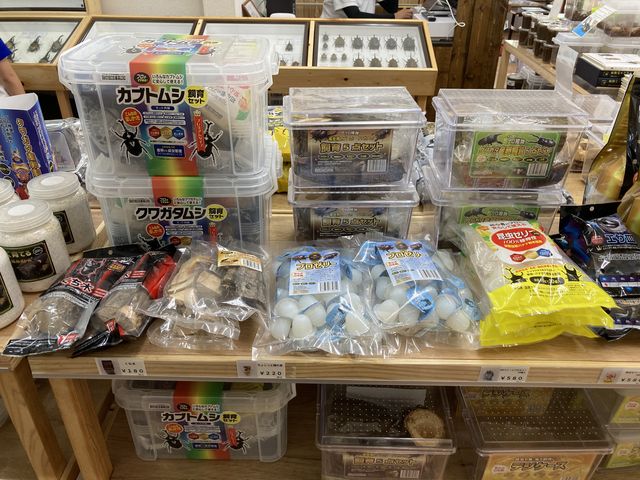 ����O�b�Y_���݂̂�Ȃ̍�����