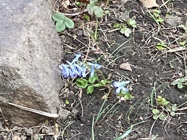 �G�]�G���S�T�N
������Ƃ܂����������B
�ł��撣���Ă�B_�D�y�s���v��