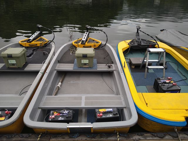 minmin2010̑͌()̓eʐ^1