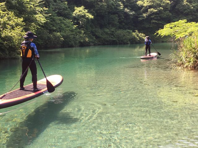 �m���u���[�ɗh���_�m����J�k�[