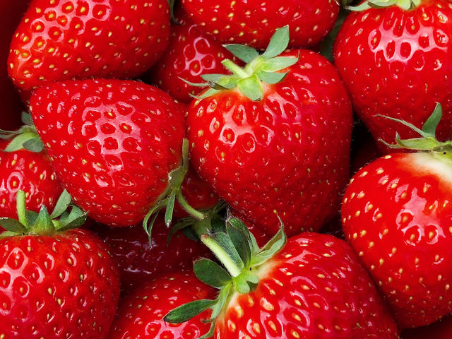 傫̂珬̂܂łǂÂĔI__g@l@Ă܉c_g