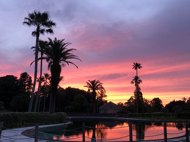 �z�e������]�ވٍ�����ӂ��[�i_���E���B�X�^�S���t���]�[�g