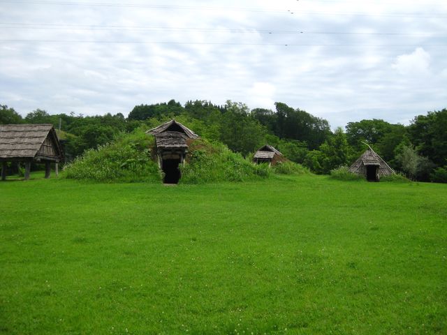 �G�����Z���Ȃǂ��Č�����Ă��܂����B_���E��Y�@�䏊��ꕶ����(�䏊����)