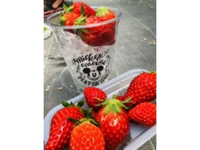 5���̏I���Ȃ̂ɂ܂��܂��Â�������_�������̉�