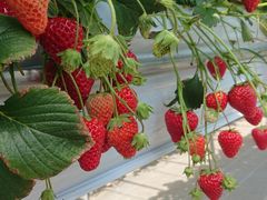 ҂̂Eu[x[_@x[̋ւ̓eʐ^1