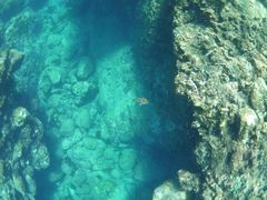 ۂۂ񂳂̉vKChNuւ̓eʐ^1