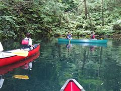 X[񂳂̃BgJ̓]ւ̓eʐ^1