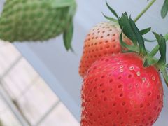 makimakibaby̏aMn@cւ̓eʐ^1