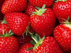 Yuki̔_g@l@Ă܉c_gւ̓eʐ^1